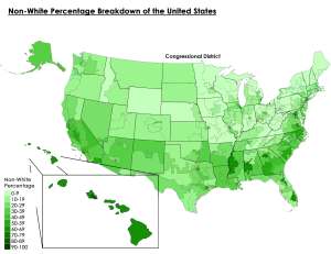 Concept 2 - Racial Distribution (District)