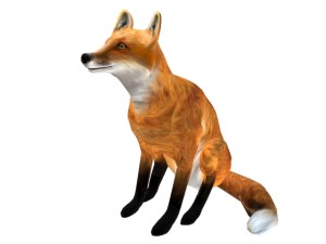Fox_2