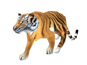 Tiger_3